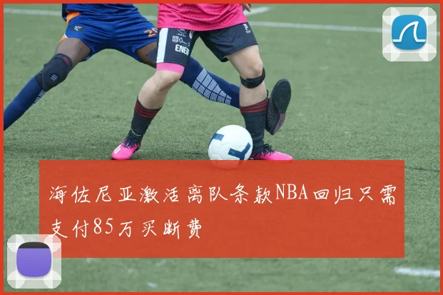 海佐尼亚激活离队条款NBA回归只需支付85万买断费